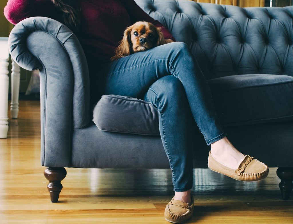 femme assise sur un canapé portant un jean et des mocassins avec un petit chien la tête posée sur ses cuisses