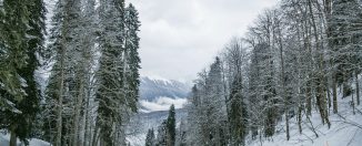 trois skieurs sur une piste de ski